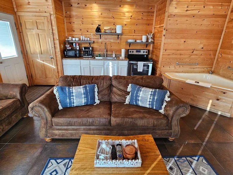 Honey Bear Cabin 3 Living Room Sleeper-Sofa